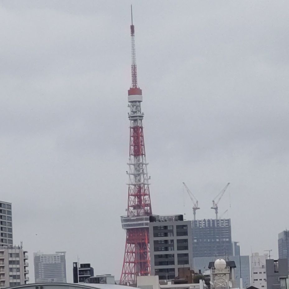 ９分喋った💦　今日の🗼