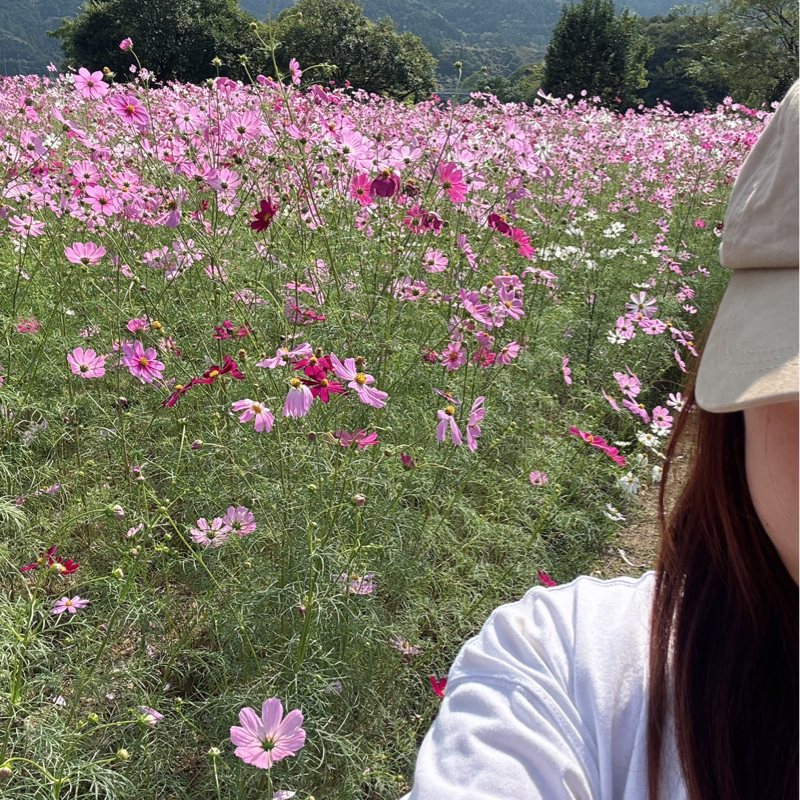 AKB48のEverydayカチューシャ♪