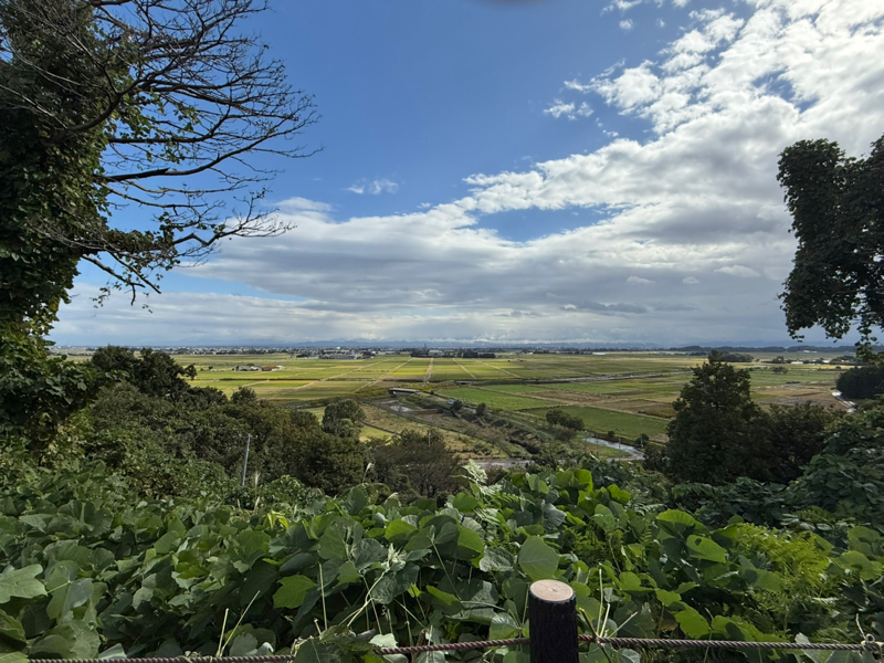 過去世カウンセリングの話