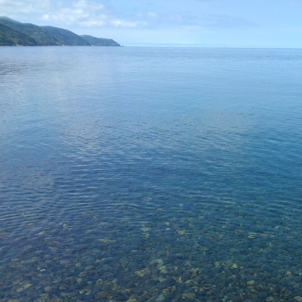 まつきの島で雑談中