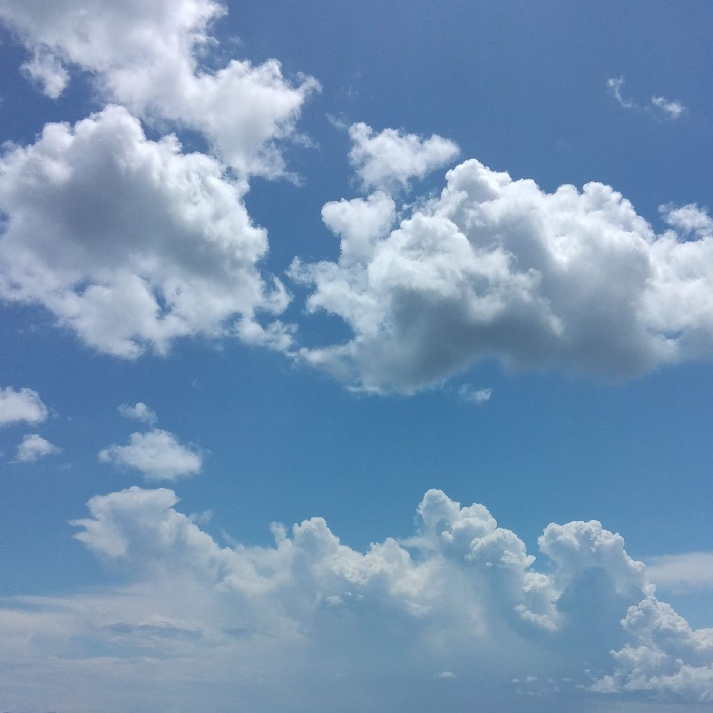 推し活について(*´ч ` *)