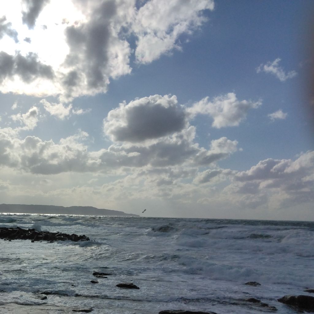 黒潮大蛇行について