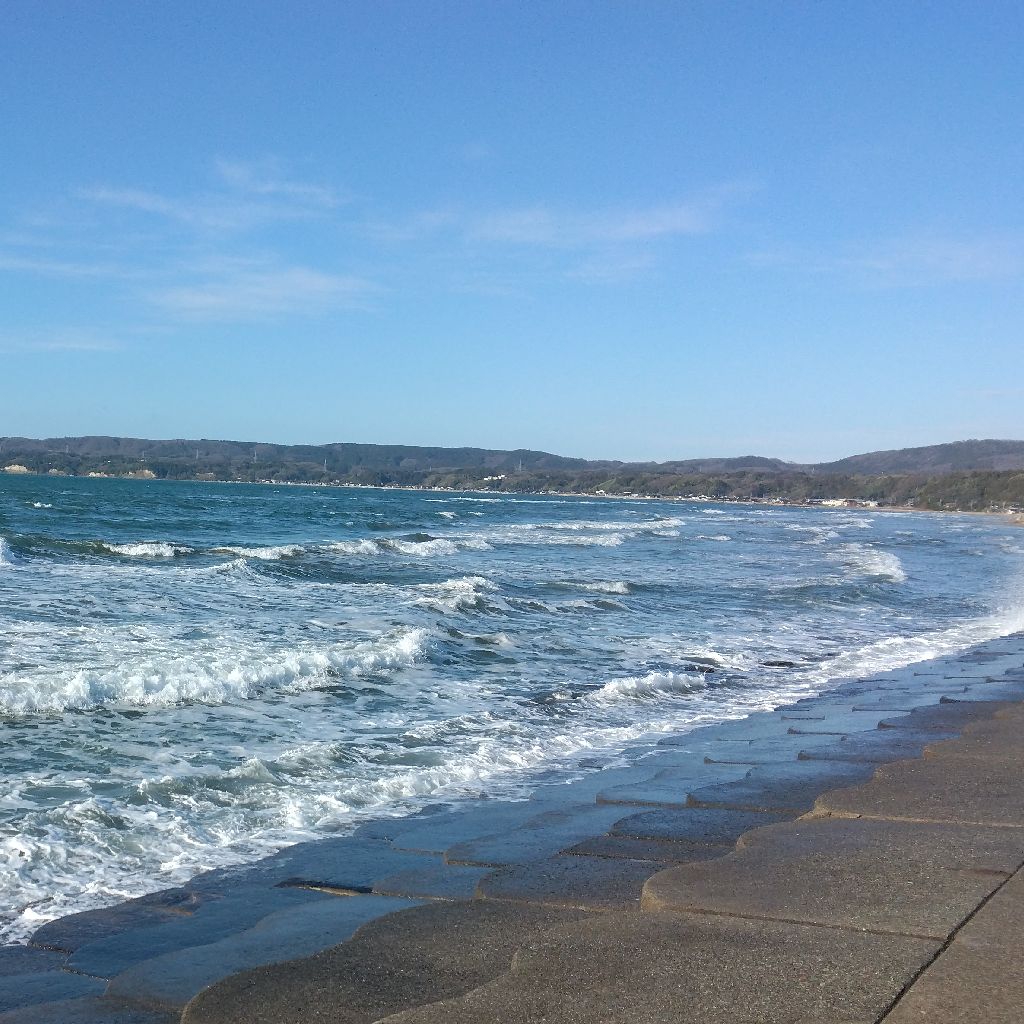 新曲できました