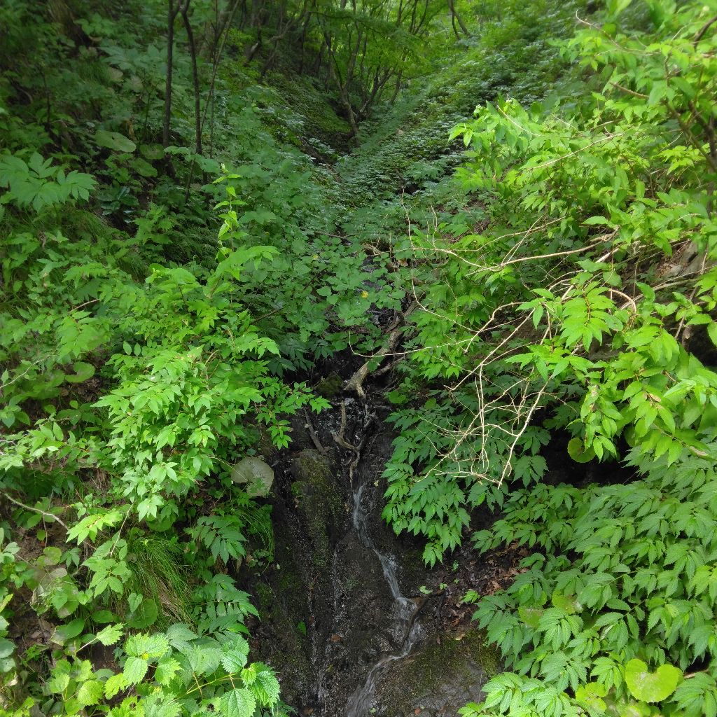 田舎あるある