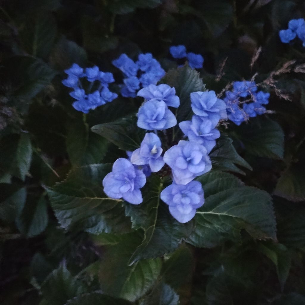 8.   5日目　GとCM7  1025541