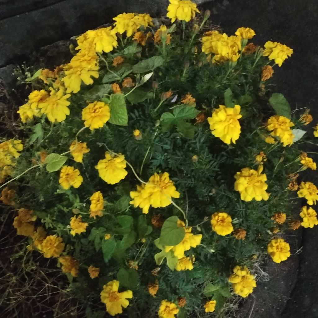 14 💡なるほどへっぽこスタンドバイミー