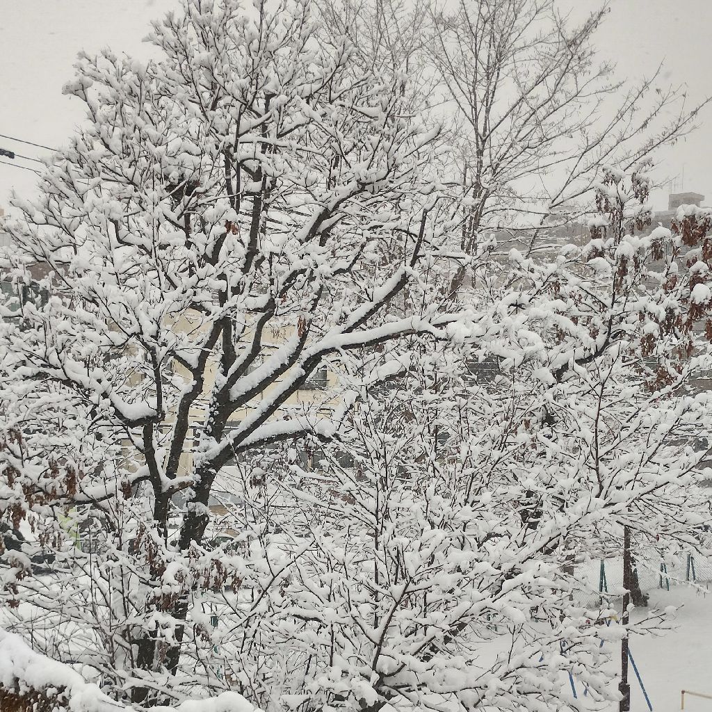 基礎練　CDEFGABC Em Am C Am D 一弦