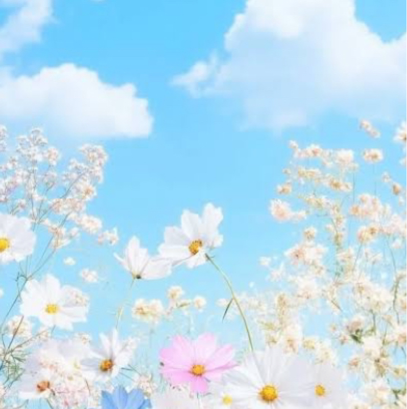 花は咲く