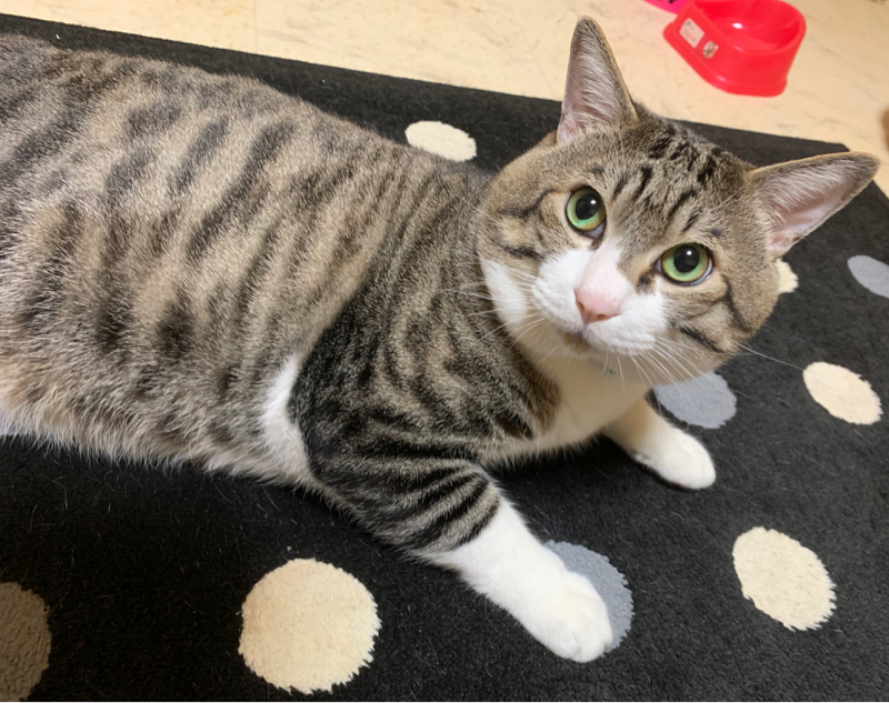 後できいてね！