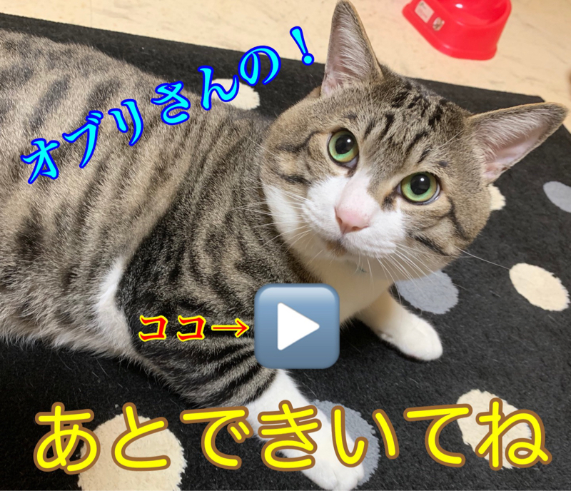 後で聞いてね✨その10！🎹使ってみた♫