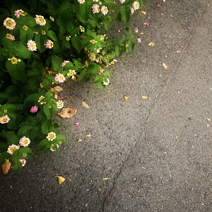 限界オキミズ語②