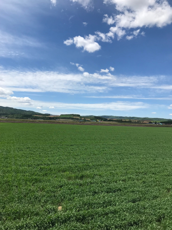 先輩と後輩の秘密基地へようこそ