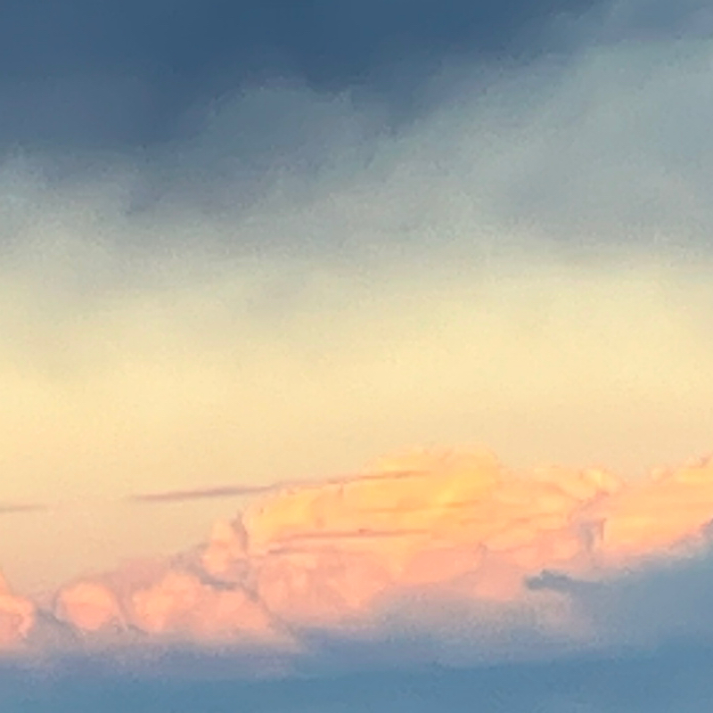 ニトリルちゃんねる