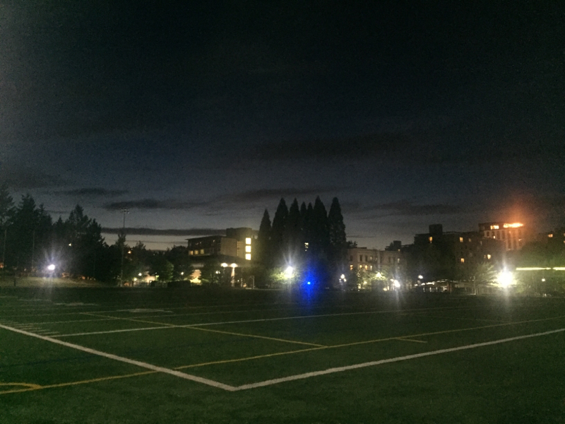 ﾎｼｲﾓﾉﾘｽﾄ