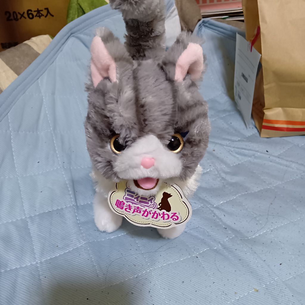 ヨッシーさんとのフリートーク