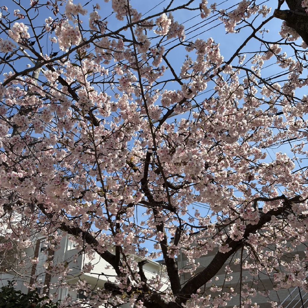 久しぶりのラジオトーク