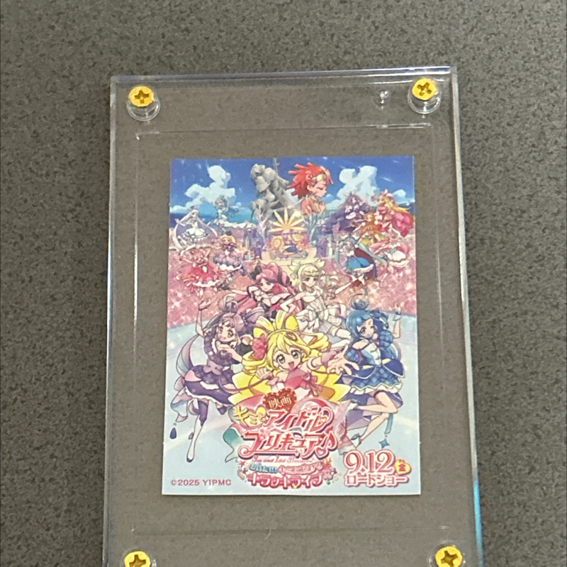 #211 プリキュアおじさんの休日