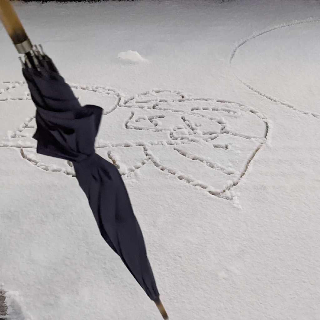 #1 使い捨てられる透明な盾