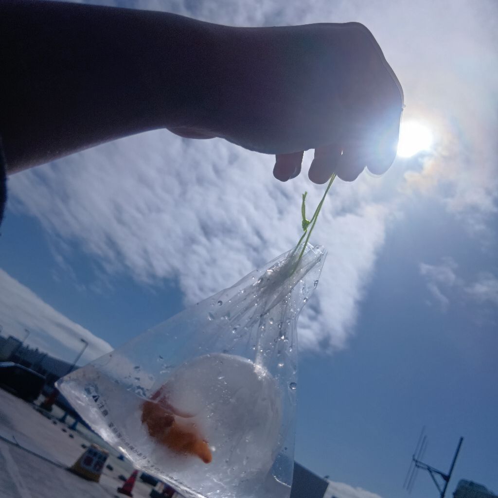 話題ガチャしてみたぁー