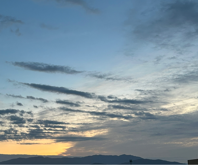11月４日　軽やかに生きる