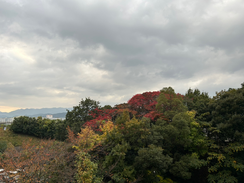 仕事と遊びの境目がなくなる