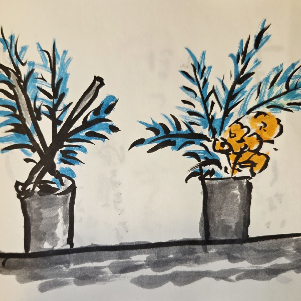 ばあばと一月😃🌃フリートークでこんばんは（1/31）