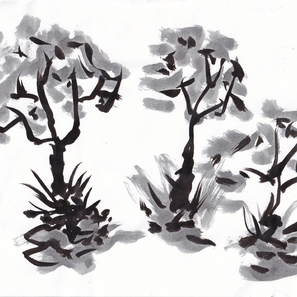 春光を貯めて溢るる幹の芯⭐95歳のイラストと俳句のコラボ作品です。