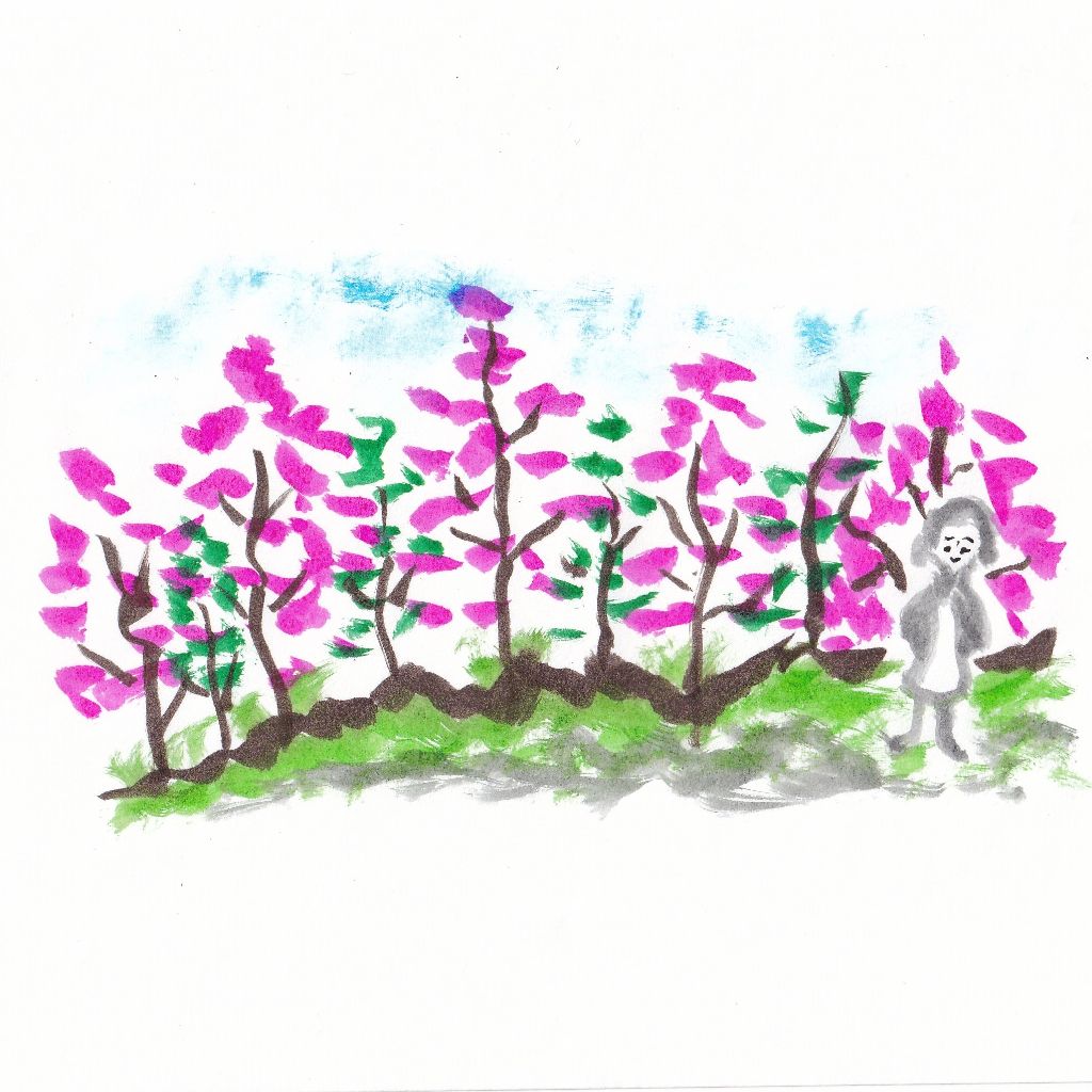 芳しき風のさきがけ梅の園⭐95歳のイラストと俳句のコラボ作品です♥️