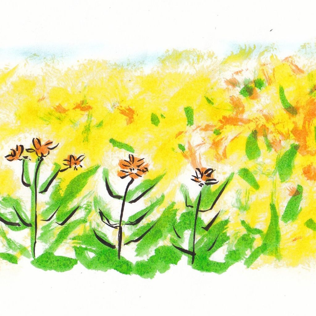 菜の花や駆けてゆきたき昨日まで⭐95歳のイラストと俳句のコラボ作品です。