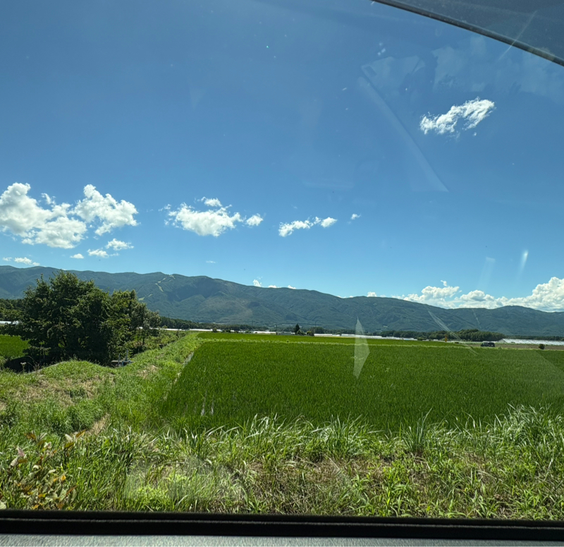 遊べや遊べ〜♪オペレッタ