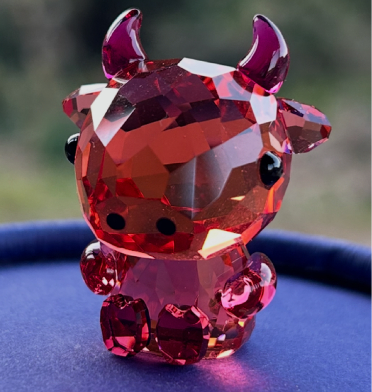 まちゃ( ꜆ 'ᵕ' )꜆🐃🐄      ¹⁹¹ 