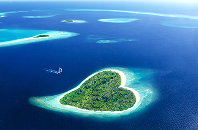 週末へのカード 好奇心