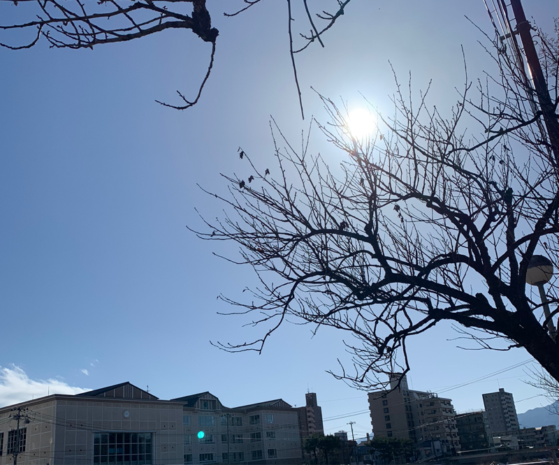 #009 アテンションプリーズ