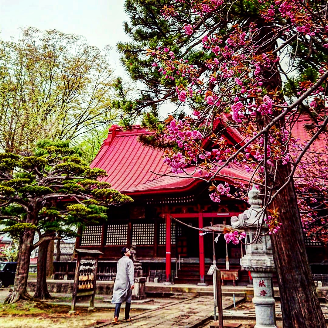 第3回 八幡神社と源氏の繋がり