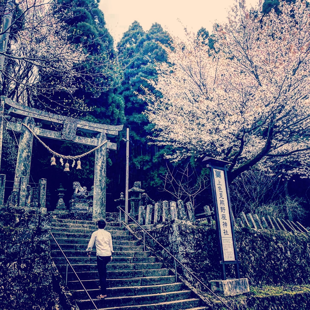 第5回 鳥居の「鳥」って、何鳥!?