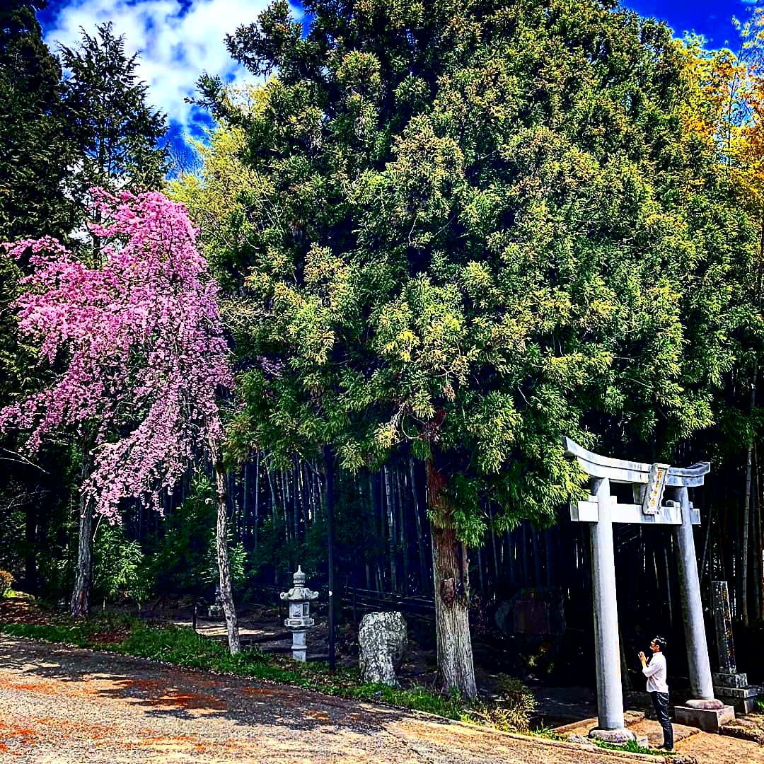 第9回 七福神の出身地!!