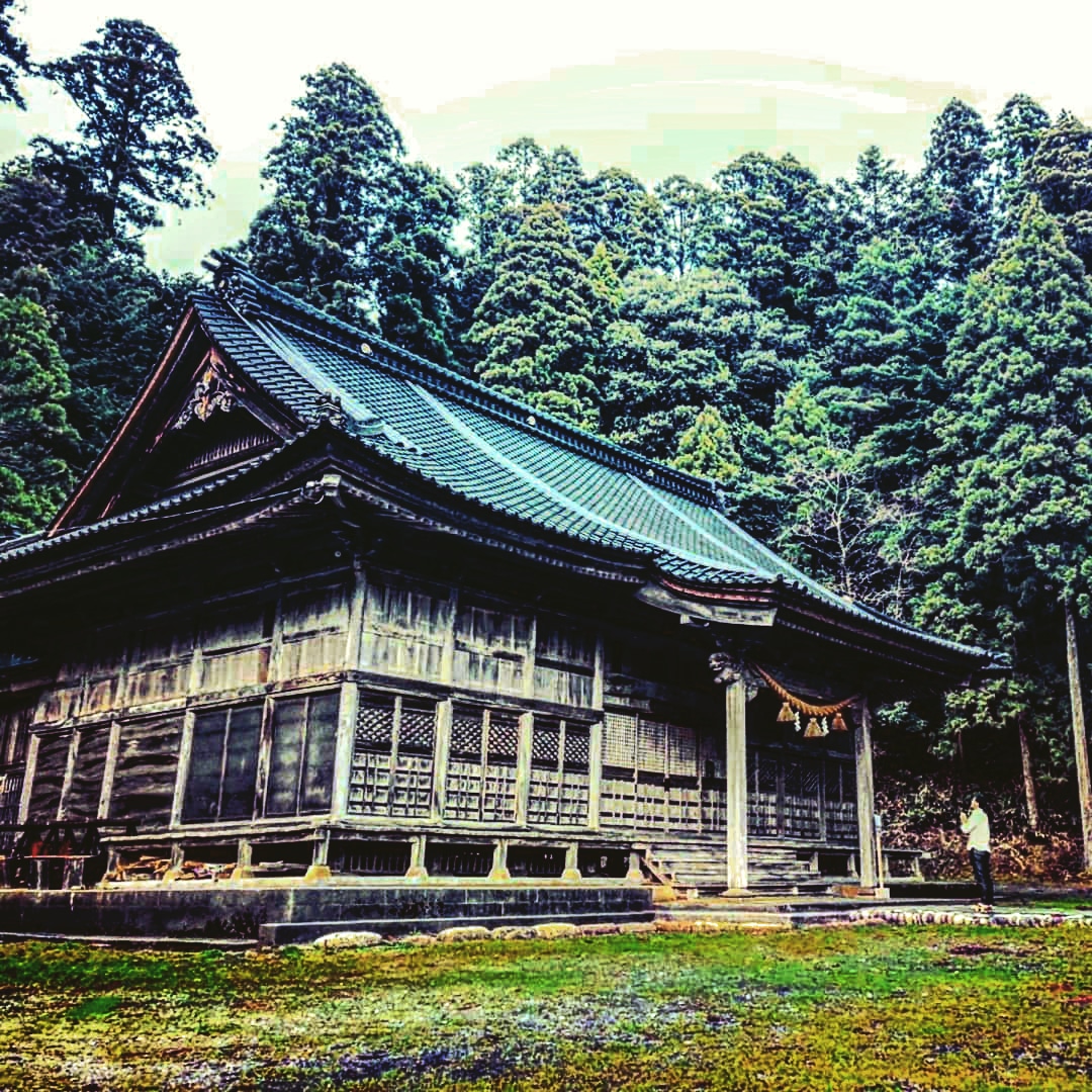 第12回 猪と魚と銀杏が多いワケ