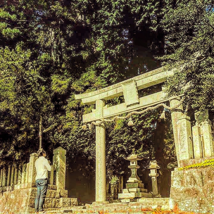 第35回 セメントで埋めちゃった。