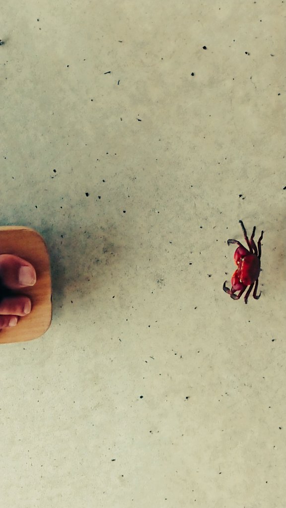 第44回 下駄トーーーク！