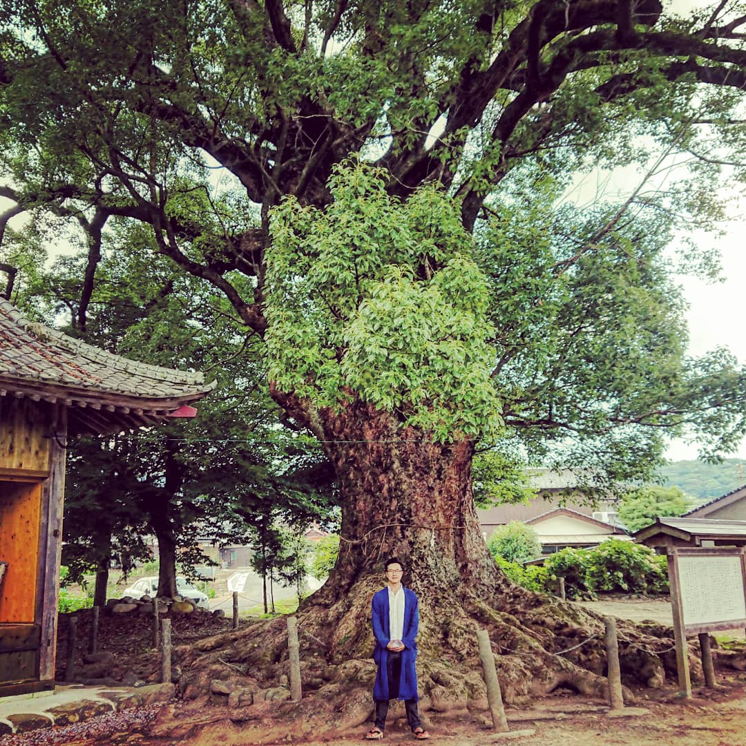 第46回 軒下物語