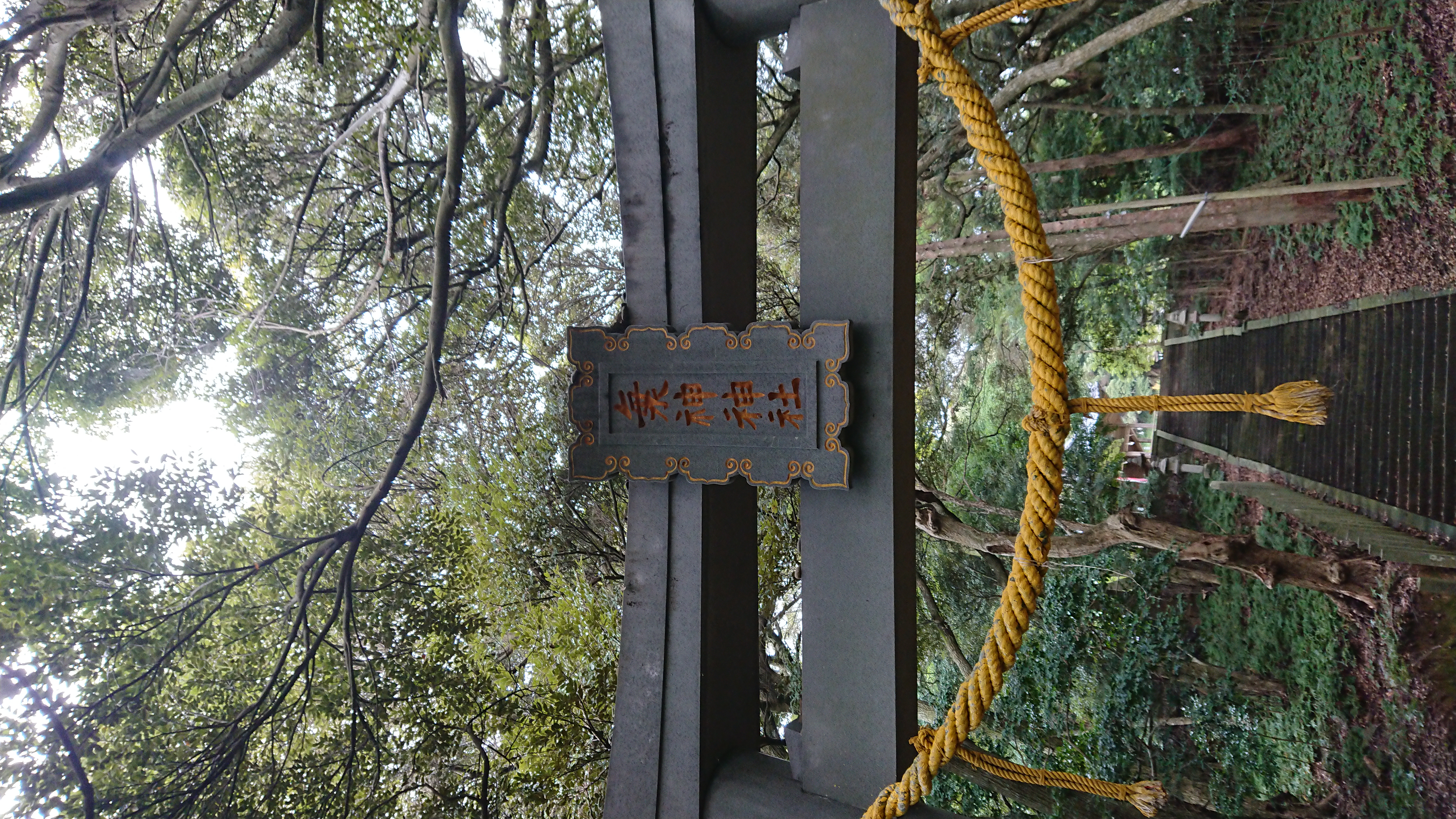 第54回 カミを感じてトーク中