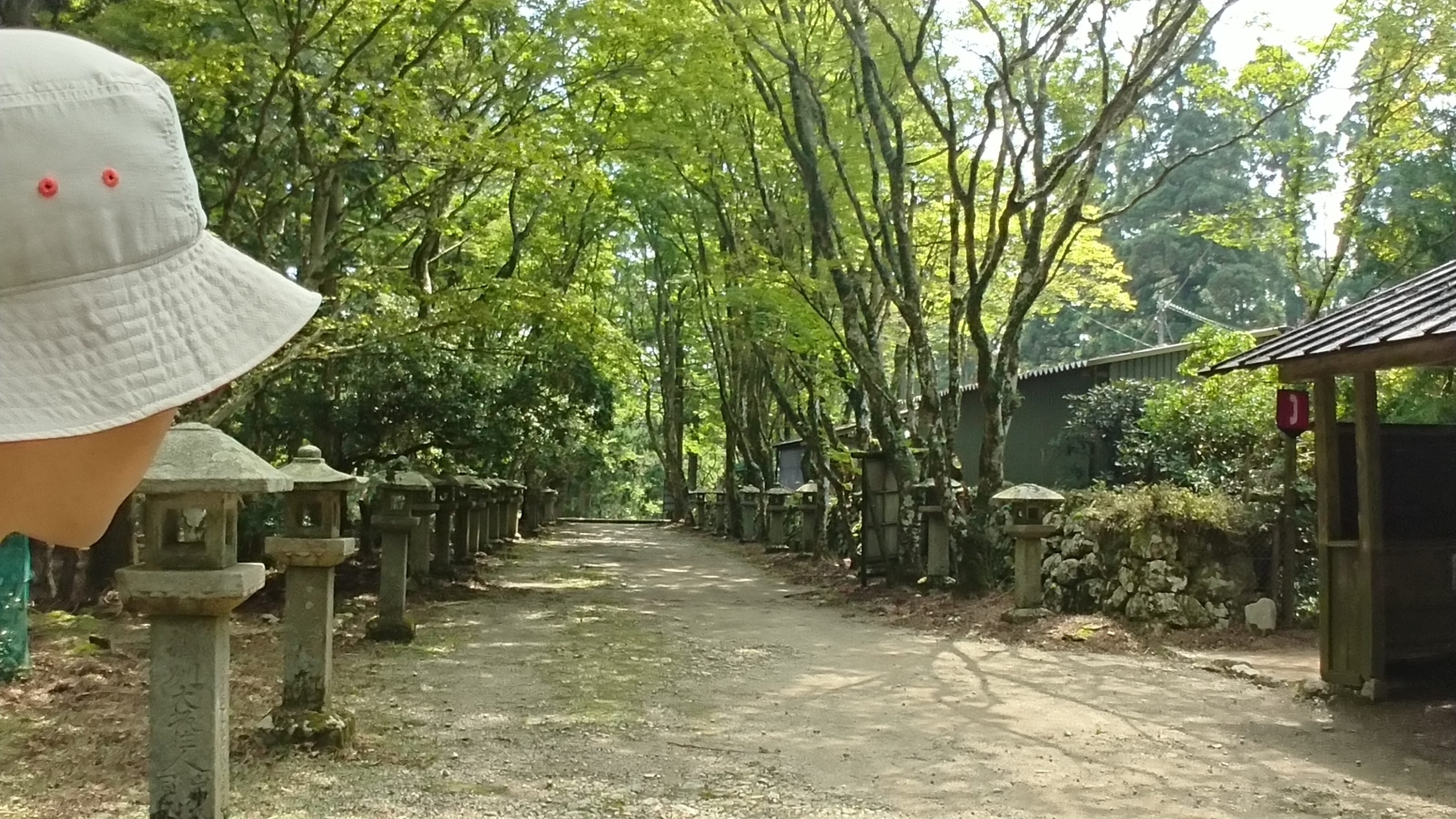 第74回 火の神様、カグツチ from Radiotalk episode artwork
