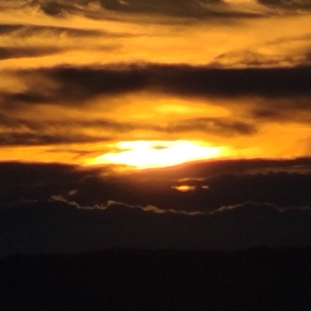 DJインコの番組