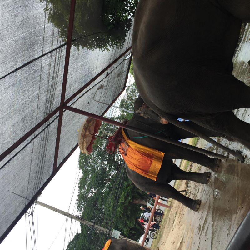 DJらむのあることないこと と称した自己紹介