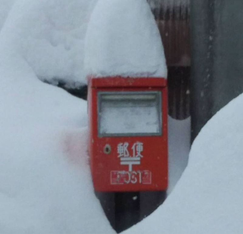 ｢なごり雪｣イルカ