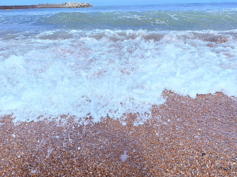 夏合宿を終えての浅野さんの今