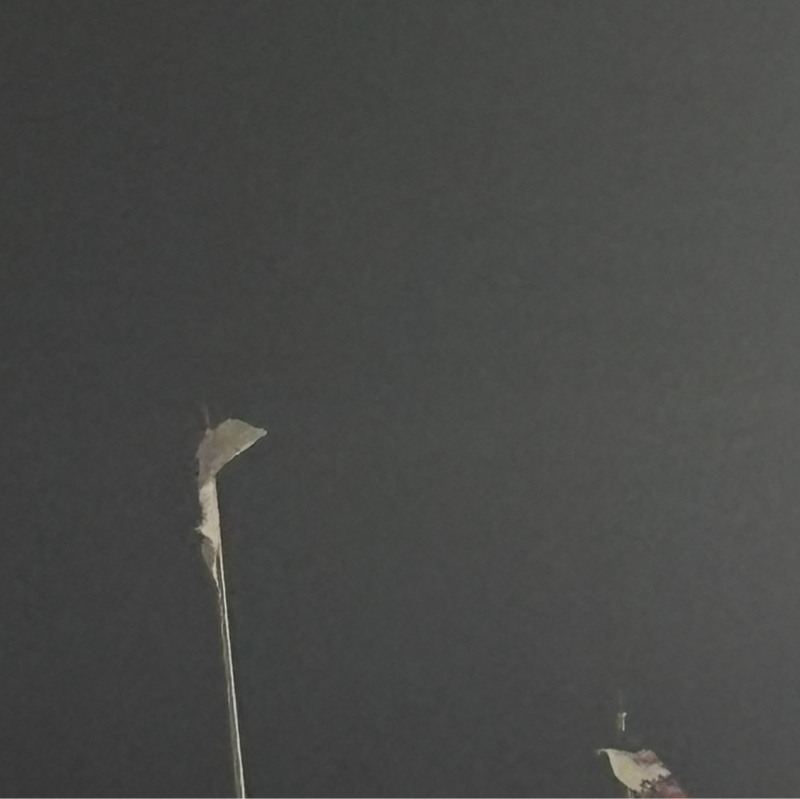 ボクシング始めたい人へ