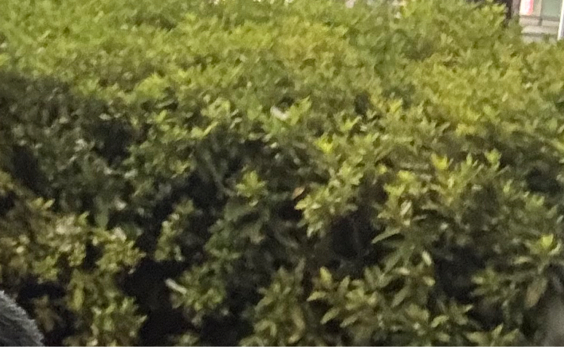 ボクシング始めたい人へ2