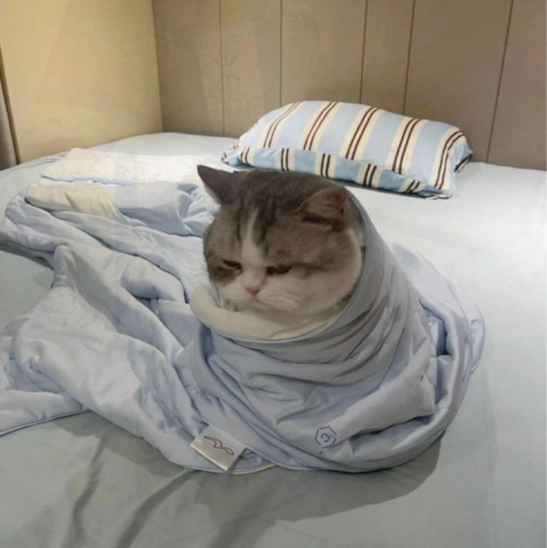 【神回】ゲストコベニ3