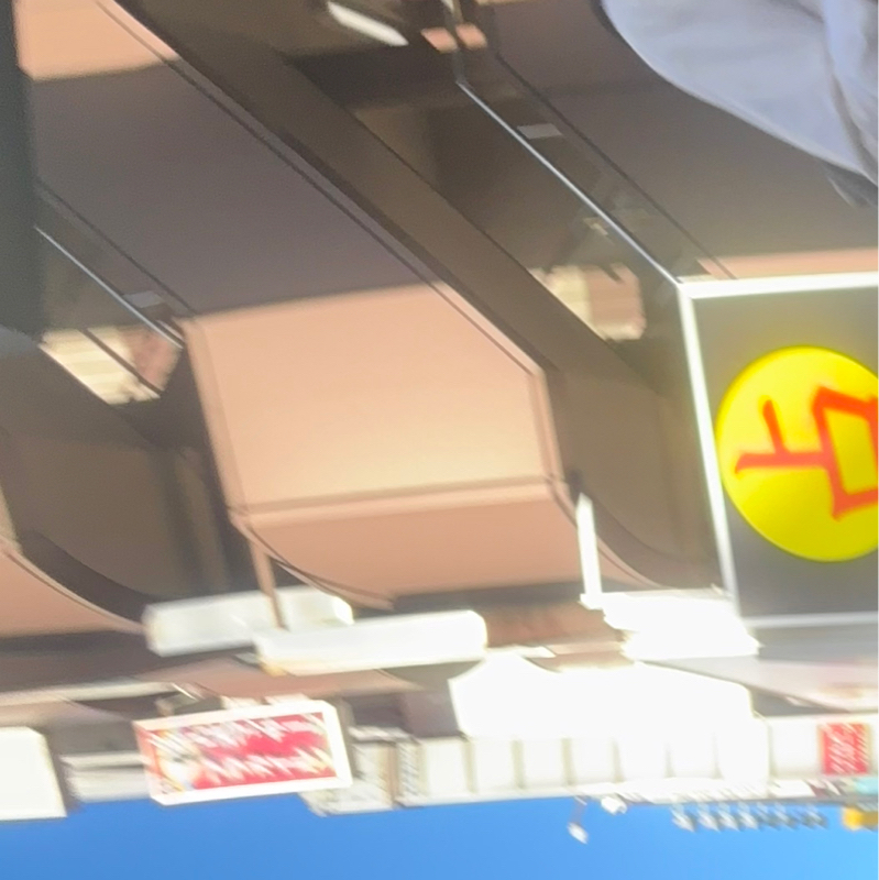 鷹狩りが来ました！2